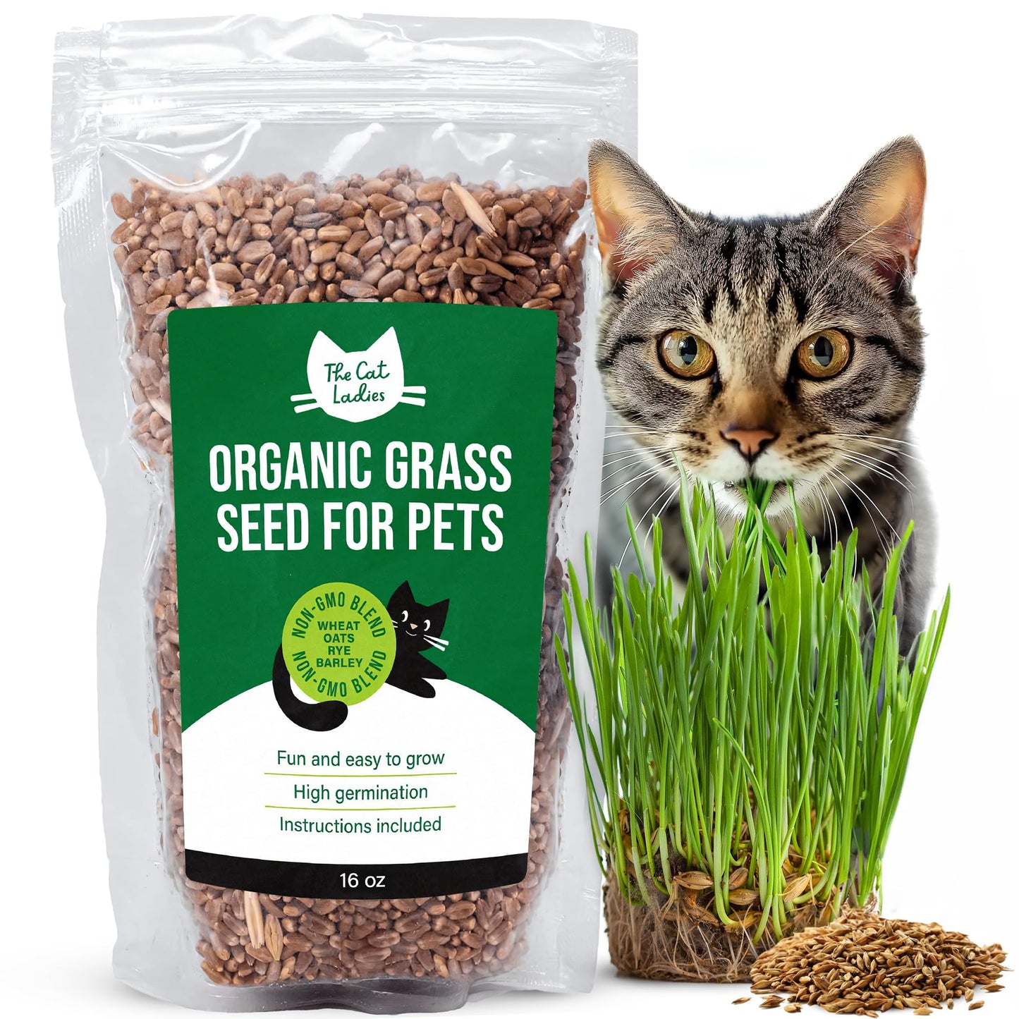 The Cat Ladies 100% Organic Cat Grass Seeds - Cat Grass for Indoor Cats - (Non GMO) 16 oz