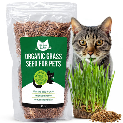 The Cat Ladies 100% Organic Cat Grass Seeds - Cat Grass for Indoor Cats - (Non GMO) 16 oz