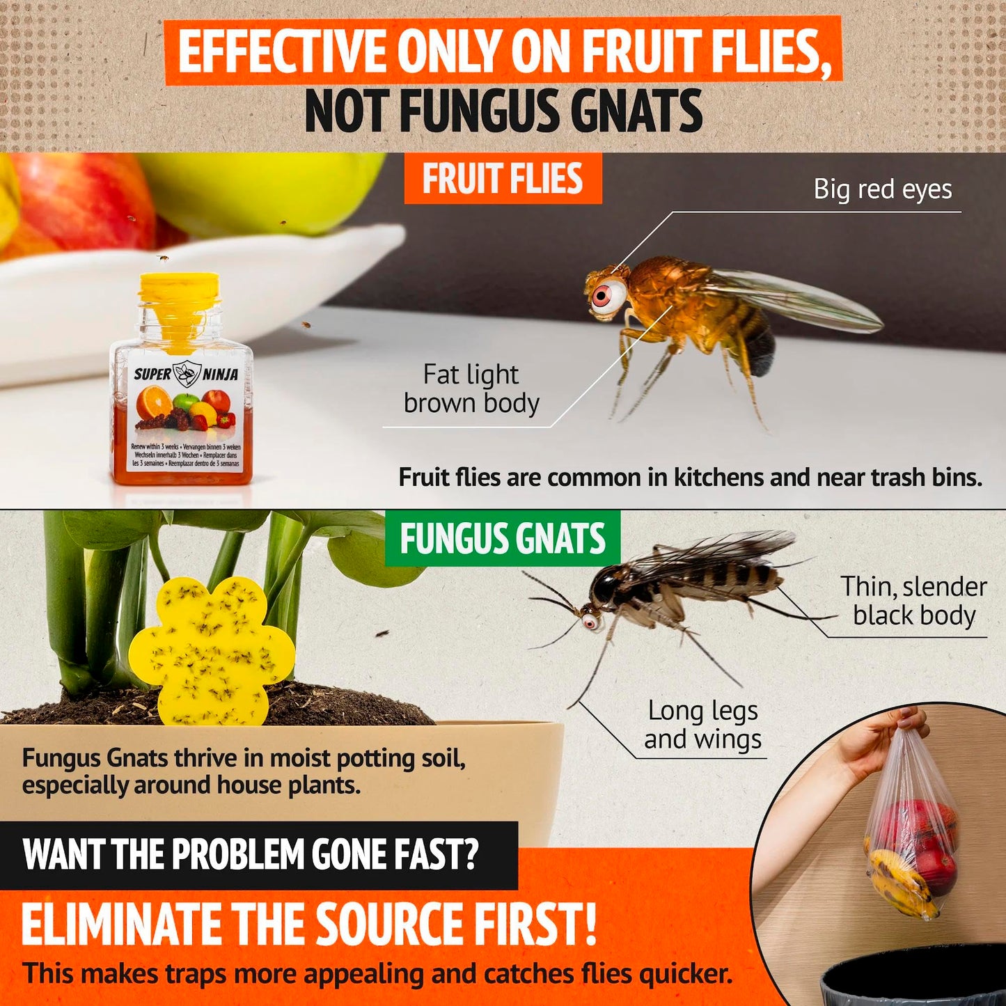 Super Ninja Fruit Fly Traps for Indoors - 1 Pack, Highly Effective Fruit Fly Catcher for Indoor Use for Home & Kitchen, Up to 3 Weeks of Performance per Bottle, Kid & Pet Friendly
