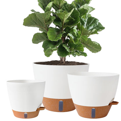 Fielda 8/10/12 Inch Self Watering Pots for Indoor/Outdoor Plants - Large Plastic Planter with Drainage Holes, Water Level Indicator & Deep Reservoir, Modern Decorative Flower Pots (White)