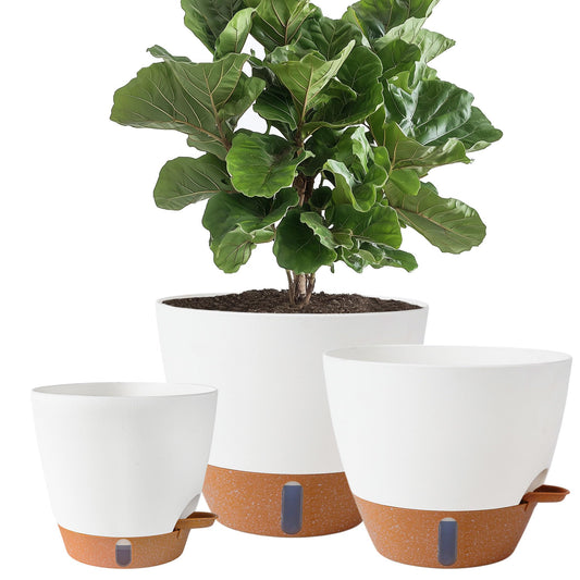 Fielda 8/10/12 Inch Self Watering Pots for Indoor/Outdoor Plants - Large Plastic Planter with Drainage Holes, Water Level Indicator & Deep Reservoir, Modern Decorative Flower Pots (White)