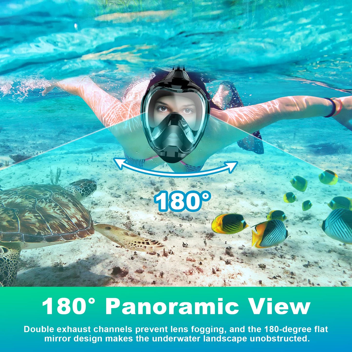 Zeeporte Dive Full Face Snorkel Mask, Snorkeling Gear for Adults Kids with Latest Dry Top Breathing System and Detachable Camera Mount, Foldable Mask with 180 Degree Panoramic View, Anti Leak&Fog