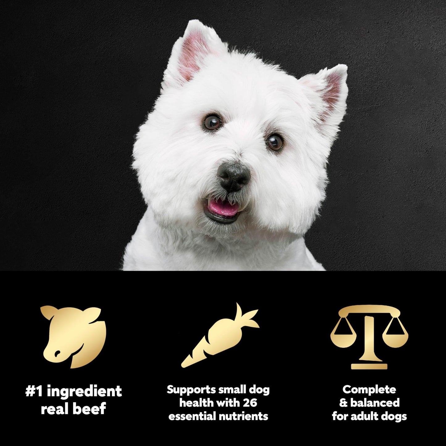 Cesar Small Breed Dry Dog Food Filet Mignon Flavor and Spring Vegetables Garnish, 12 lb. Bag