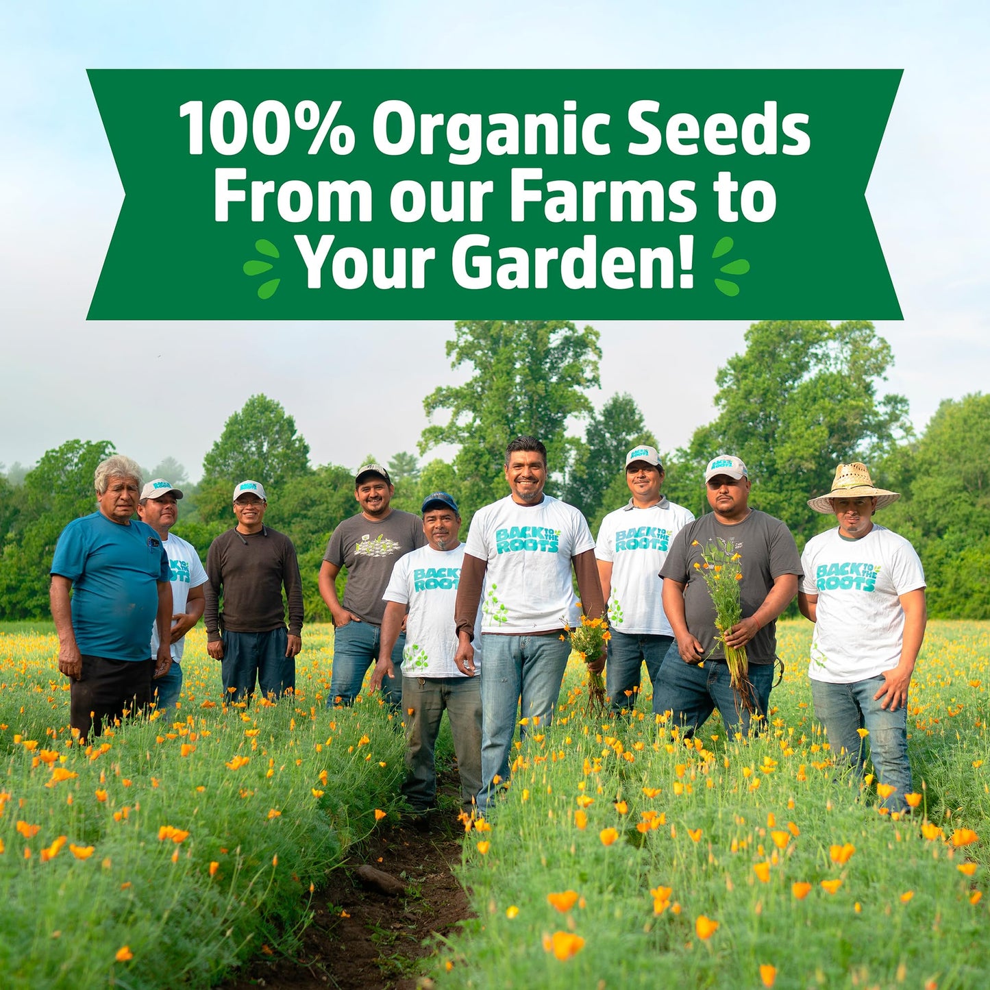 Back to the Roots Heirloom Organic, Non-GMO & USA Grown Seeds, 30ct Herb, Fruit, and Veggies, Assortment May Vary, Guaranteed to Grow