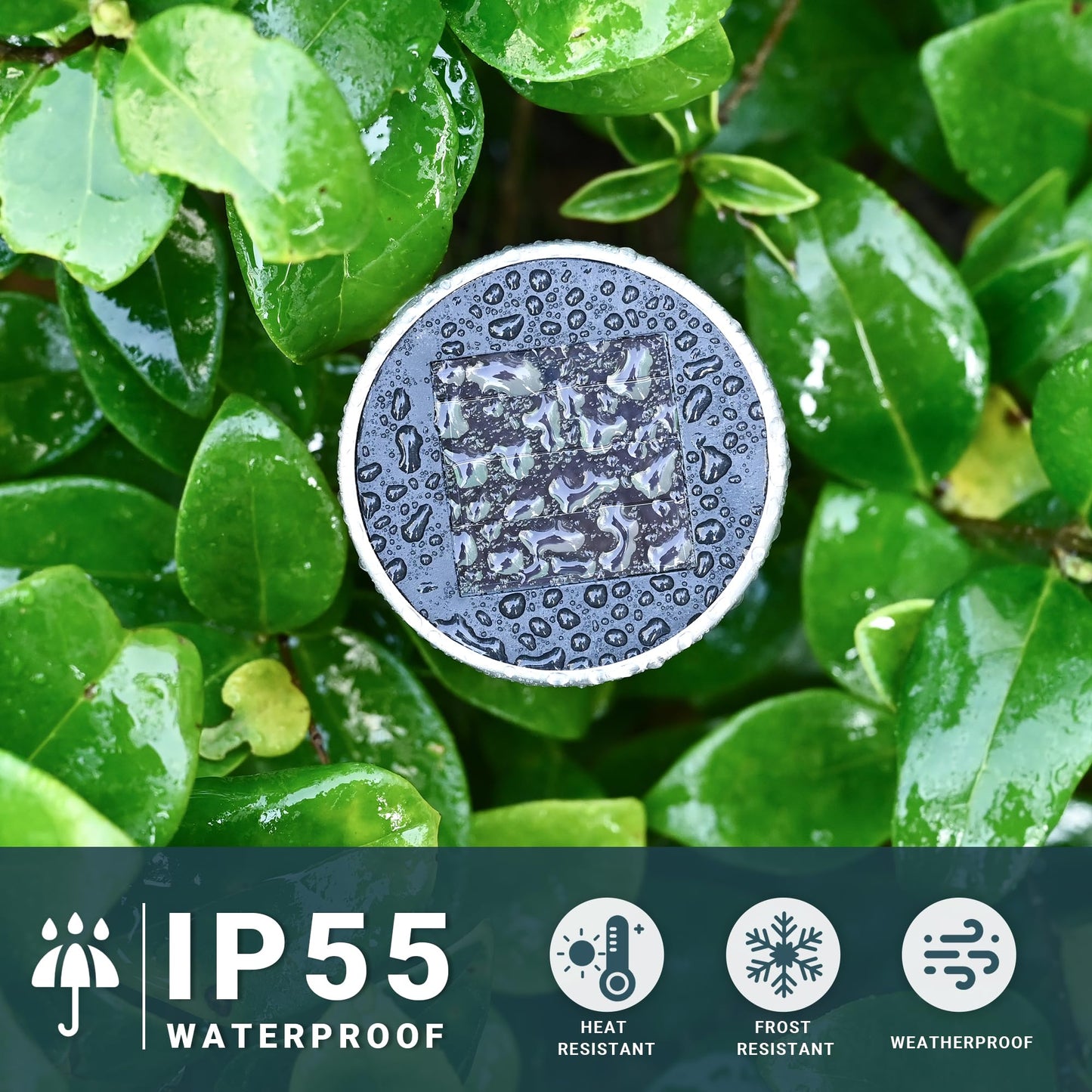 SOLPEX 16 Pack Solar Outdoor Lights Pathway, Stainless Steel Solar Lights Outdoor Waterproof,LED Landscape Lighting Solar Walkway Lights for Landscape/Patio/Lawn/Yard/Driveway-Warm White