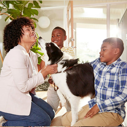 Filtrete 20x25x1 AC Furnace Air Filter, MERV 5, MPR 300, Capture Unwanted Particles, 3-Month Pleated 1-Inch Electrostatic Air Cleaning Filter, 6-Pack (Actual Size 19.69x24.69x0.81 in)