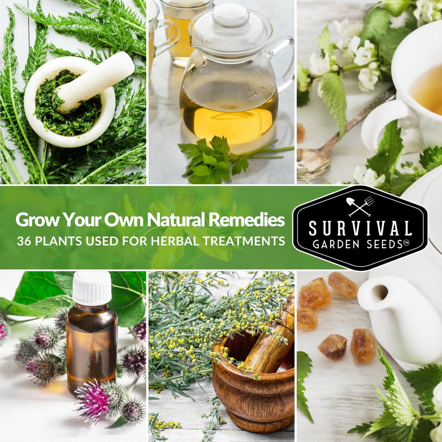 Ultimate Medicinal Herb Seeds Variety Pack – 36 Heirloom Varieties, 28,000+ Lavender, Calendula, Echinacea, Peppermint, Yarrow – Non-GMO Garden Kit by Survival Garden Seeds