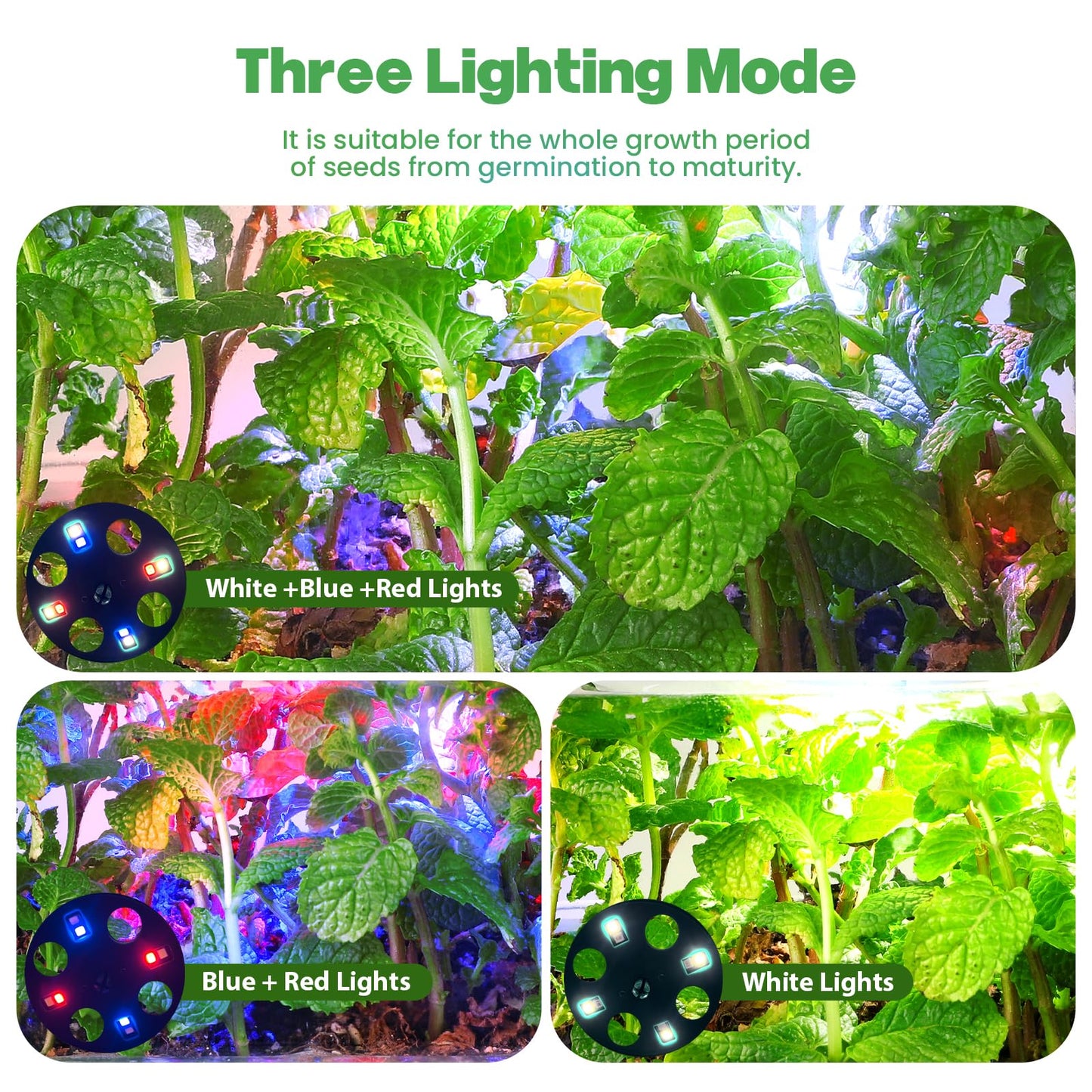 Seed Starter Trays with Grow Lights, 72 Cells Seed Starter Kit with Lights, 3 Lighting Mode, 4 Timing Set, Germination Kit for Seed Starting Trays, Seedling Starter with High Humidity Control Domes