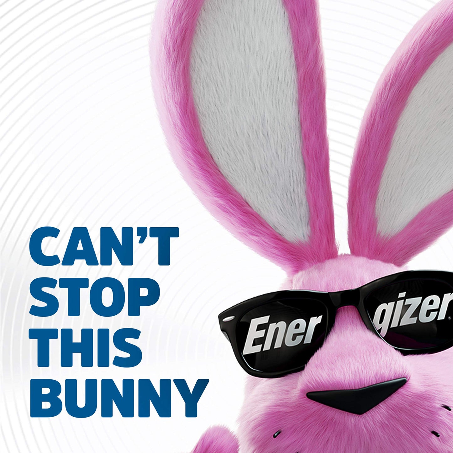 Energizer Ultimate Lithium AA Batteries, World's Longest Lasting Battery for High-Tech Devices (4 Each), Black (EVEL91BP4)