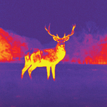 Seek Thermal CT-AAA COMPACT XR-Outdoor Thermal Imaging Camera for Android USB-C