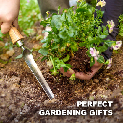 Berry&Bird Seeding Widger,Stainless Steel Seed Dibber Tool with Measuring Scale,Wooden Handle Garden Bulb Trowel for Seed Planting Tool Hand Shovel Planter Transplanter Dibber Soil Digginng