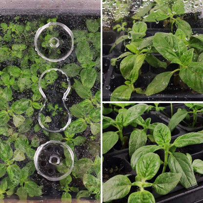 [Thick Plastic] 3-Set Strong Seed Starter Trays with 5" Humidity Domes for Seed Starting, Germination, Seedling Propagation & Plant Growing, Holds 144 Cells in Total