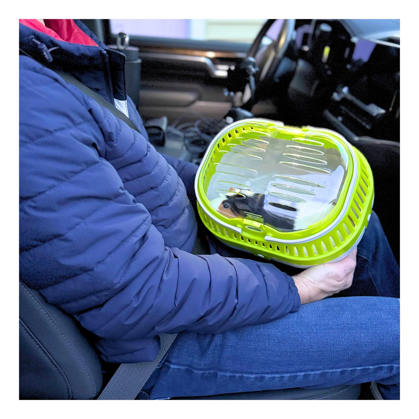 TRIXIE Pico Transport Crate, Small Pet Carrier, Portable Travel Carrier, for Small Pets, Hamsters, Guinea Pig, Lizards