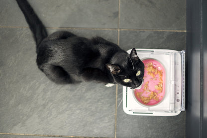 Sure Petcare - SureFeed - Motion Activated Sealed Pet Bowl - NOT Microchip Activated