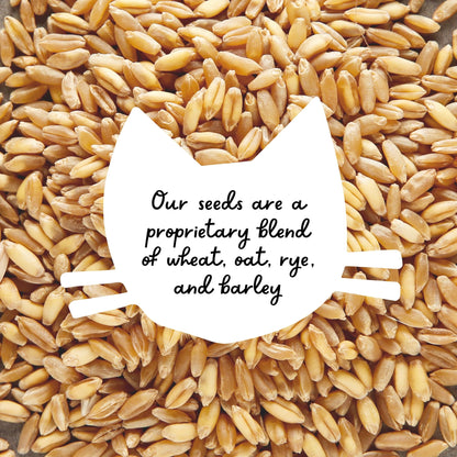 The Cat Ladies 100% Organic Cat Grass Seeds - Cat Grass for Indoor Cats - (Non GMO) 16 oz