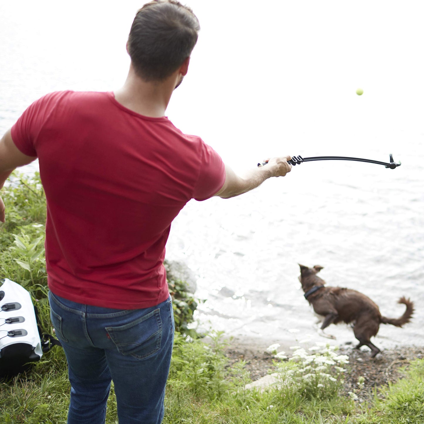 Franklin Pet Supply Co. Tennis Ball Launcher for Dogs - Dog Thrower Fetch - Perfect Toy for Large + Small Breeds