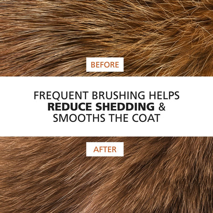 Wahl Premium Pet Double Sided Pin Bristle Brush with Patented Stacked Pin Design for Dogs - Removes Loose Hair & Stimulates the Skin while Creating a Soft Coat Shine - Model 858501