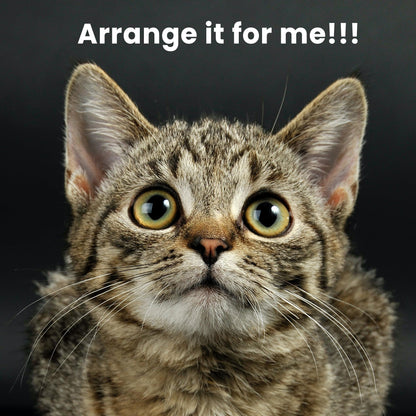 SHA CERLIN 68 Inches Multi-Level Large Cat Tree for Large Kitties/Big Cat Tower with Condo/Cozy Plush ‌Pussycat Perches/Sisal Scratching Posts and Hammocks/Activity Center/Beige