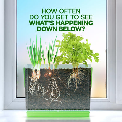 Dan&Darci Root Viewer Kit for Kids - Grow Your Own Plant for Boys & Girls Gifts - Science STEM Toy & Craft Growing Kits for Ages 4-8 Birthday Gifts for Boy, Girl 4, 5, 6, 7, 8, Year Old - Gardening