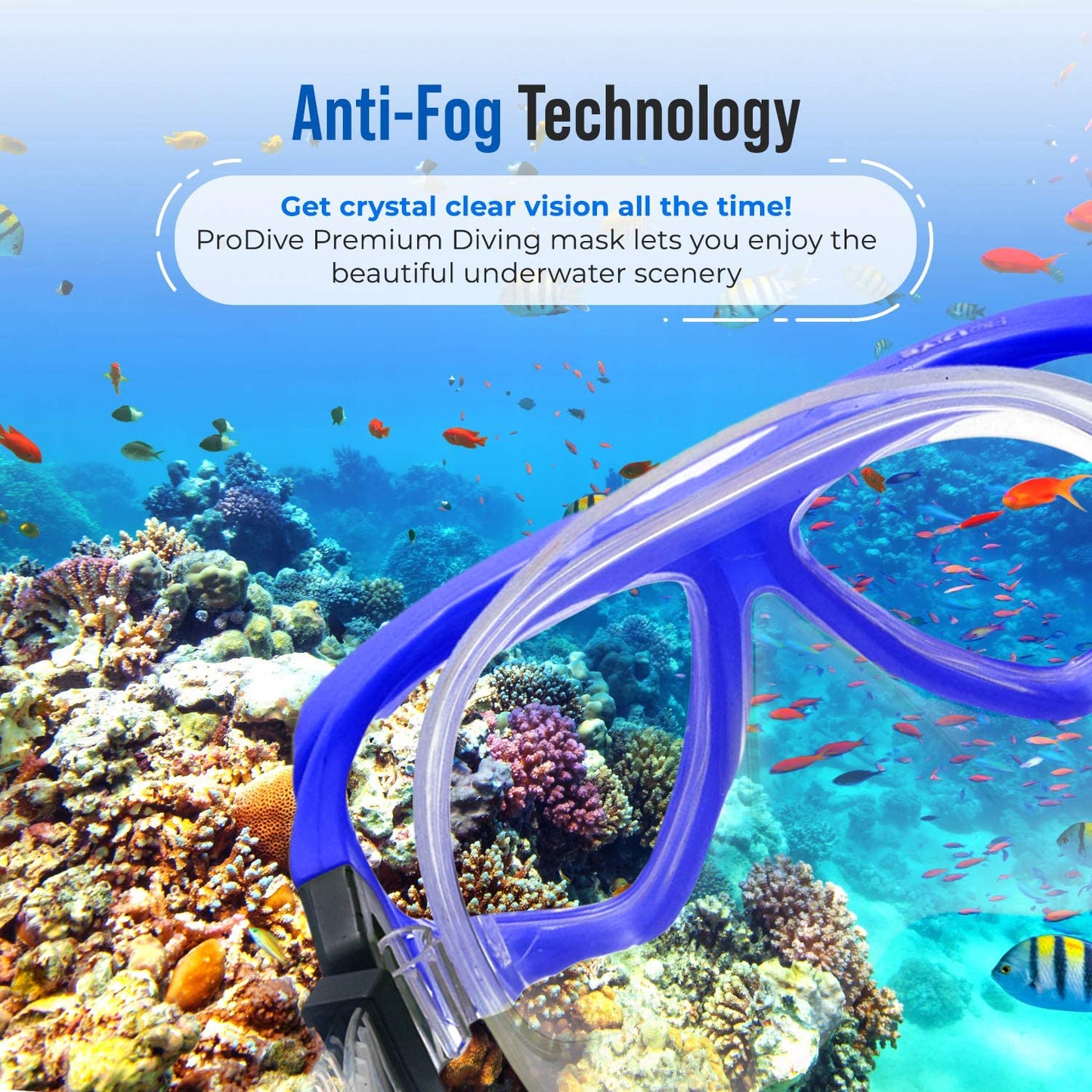PRODIVE Snorkel Mask and Snorkeling Gear - Dry-Top Snorkel Set with Impact-Resistant Tempered Glass Lens, Anti-Fog Design, Watertight Seal, Adjustable Strap with Carry Case (Crystal Clear Vision)