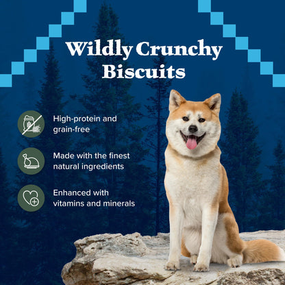 Blue Buffalo Wilderness Trail Treats High Protein Grain Free Dog Biscuits Crunchy Dog Treats, Duck Recipe, 10-oz Bag