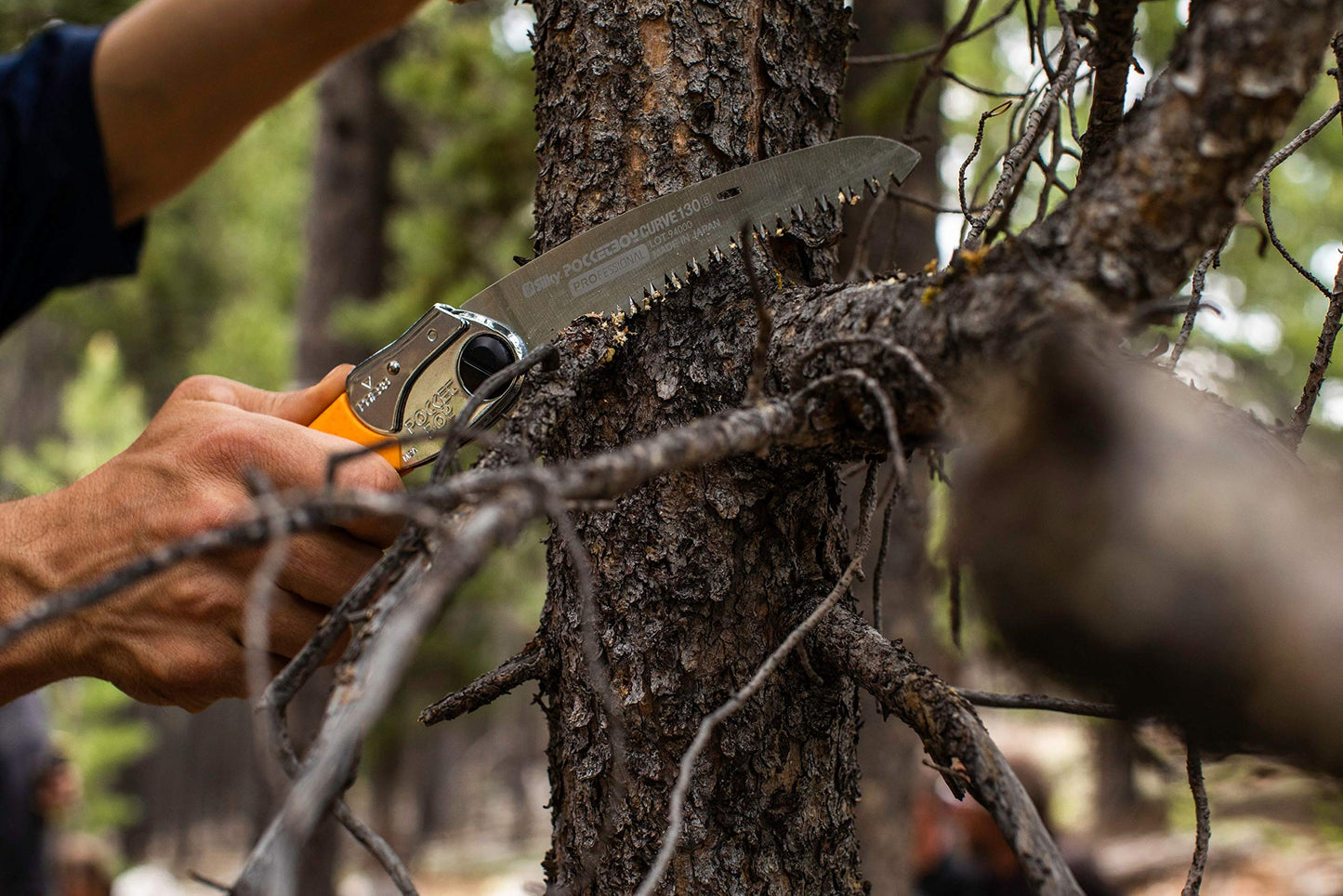 Silky Professional Series PocketBoy Curved Blade Folding Saw 130mm Large Teeth (726-13)