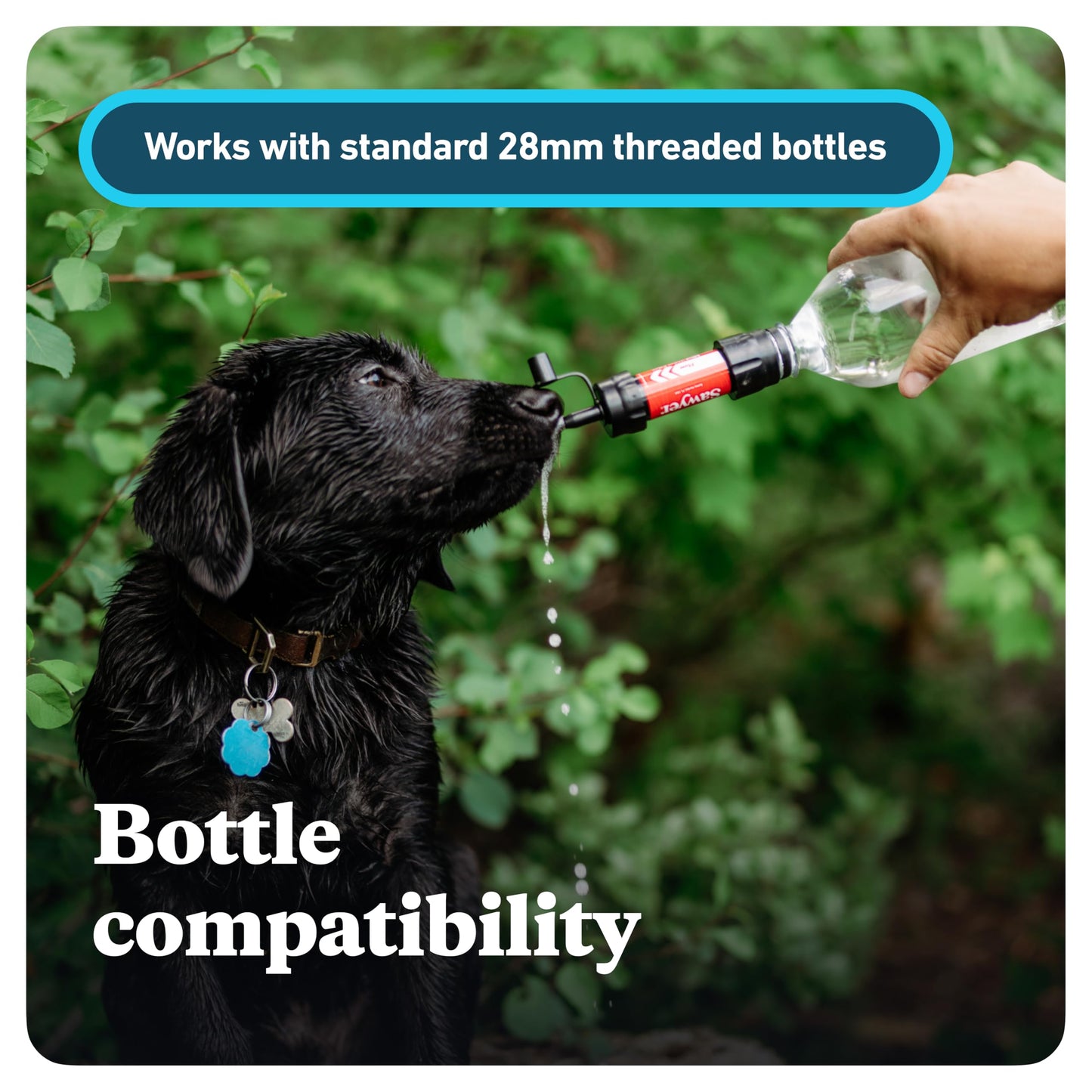 Sawyer Products SP128 Mini Water Filtration System, Single, Blue