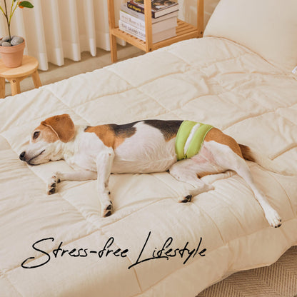 WICKEDPUP Male Dog Belly Band Kit, 50 Diaper Pads & 1 Reusable Male Wrap (Size 2 (17.5"-21.5" Waist))