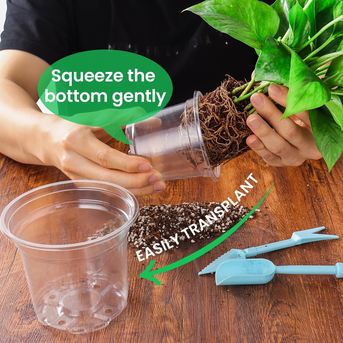 Bluepro 36 Packs 6.7/5/4/3.5 Inch Reinforced Clear Nursery Pots with Drainage Hole, Transparent Variety Pack Plastic Plant Pot Seedling Planter Seed Starter Flower