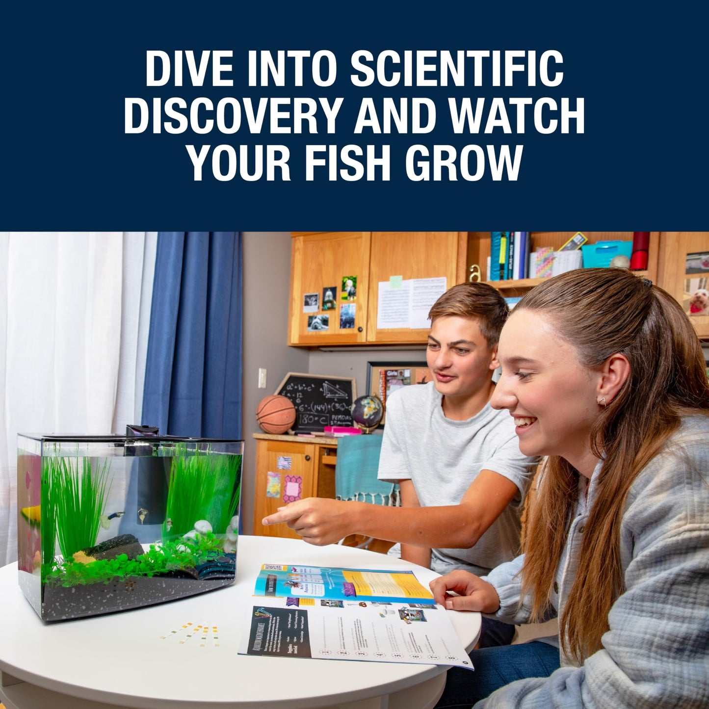 Tetra Crescent STEM Aquarium Kit 3 Gallons, Curved-Front Fish Tank with LEDs and STEM Activity Guide