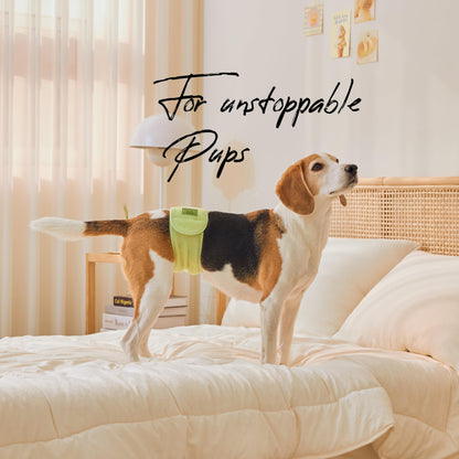 WICKEDPUP Male Dog Belly Band Kit, 50 Diaper Pads & 1 Reusable Male Wrap (Size 2 (17.5"-21.5" Waist))