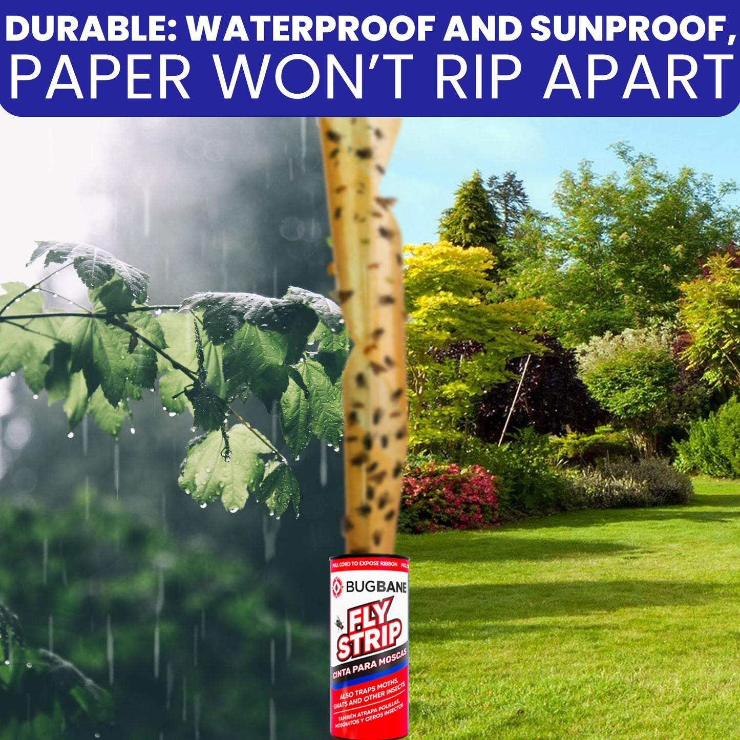 Fly Strips Indoor Sticky Hanging 24pk with Pins. Non Toxic Outdoor Fly Trap Indoor for Home. Flies Tape Paper Trap Ribbon Roll for House Gnat Fruit and Housefly. Bug Catchers for Inside Home Flypaper