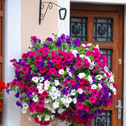 Tactical Gear Clips Plastic Carabiner Keychain Clip D-Rings Spring Snap Hook for Backpack, Molle System, Bag, Key Chain 12 Pack