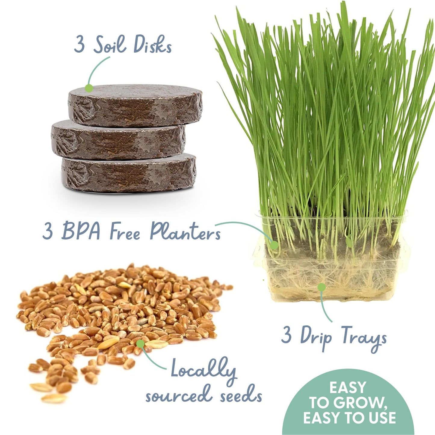 The Cat Ladies Cat Grass for Indoor Cats - Growing Kit - Organic Cat Grass Seeds, Soil and BPA Free Containers (Non GMO) - Locally Sourced Seeds! (3 Pack)