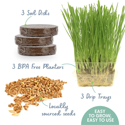 The Cat Ladies Cat Grass for Indoor Cats - Growing Kit - Organic Cat Grass Seeds, Soil and BPA Free Containers (Non GMO) - Locally Sourced Seeds! (3 Pack)