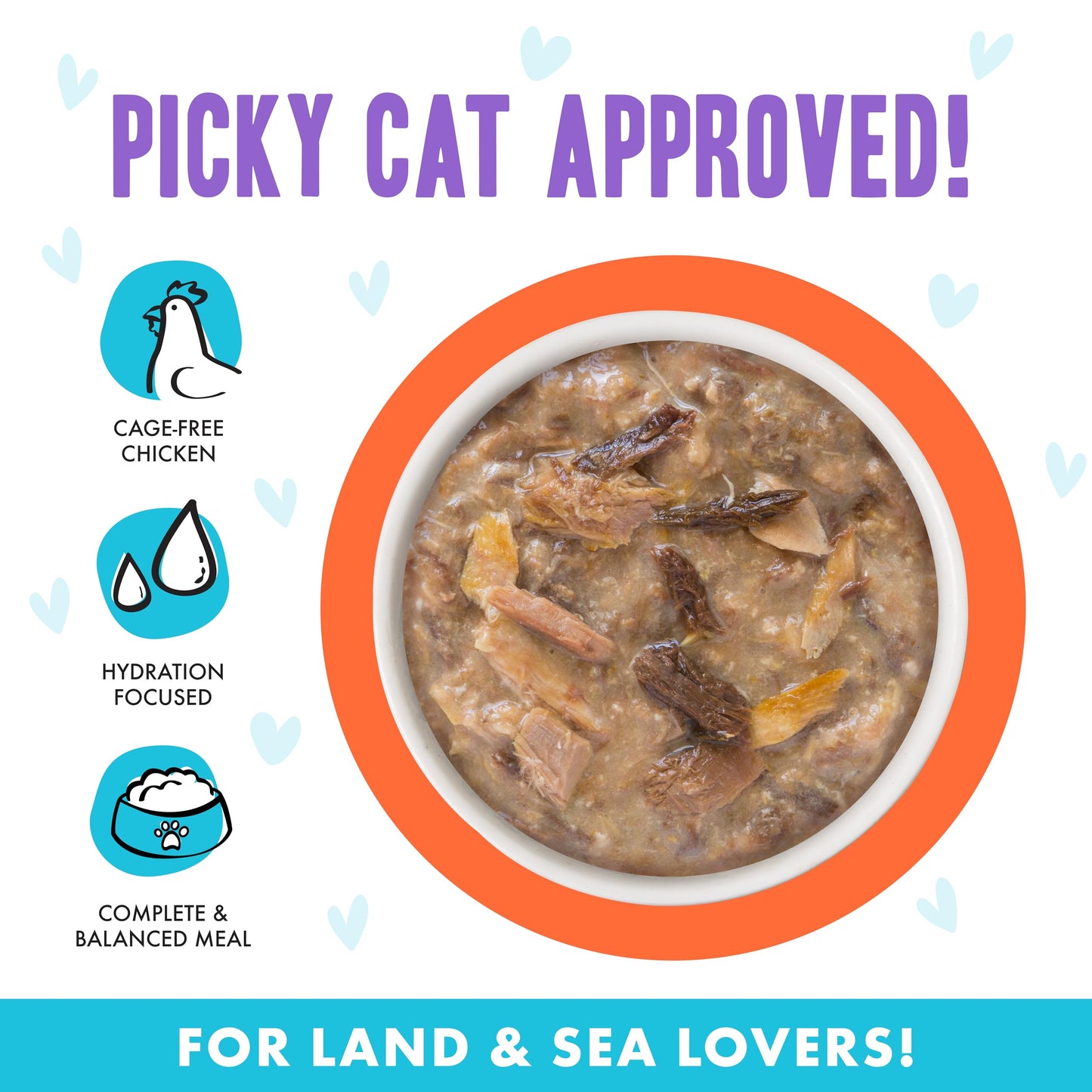 Weruva B.F.F. OMG - Best Feline Friend Oh My Gravy! Grain-Free Wet Cat Food Cans, Crazy 4 U! Chicken & Salmon, 5.5-Ounce Can (Pack of 8)