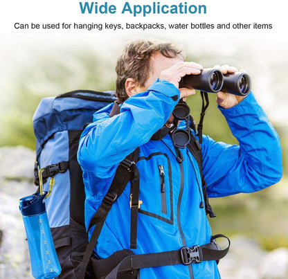 Zalava 6pcs 2”D-Clip Durable Locking Carabiner Keychain Clip with Hook