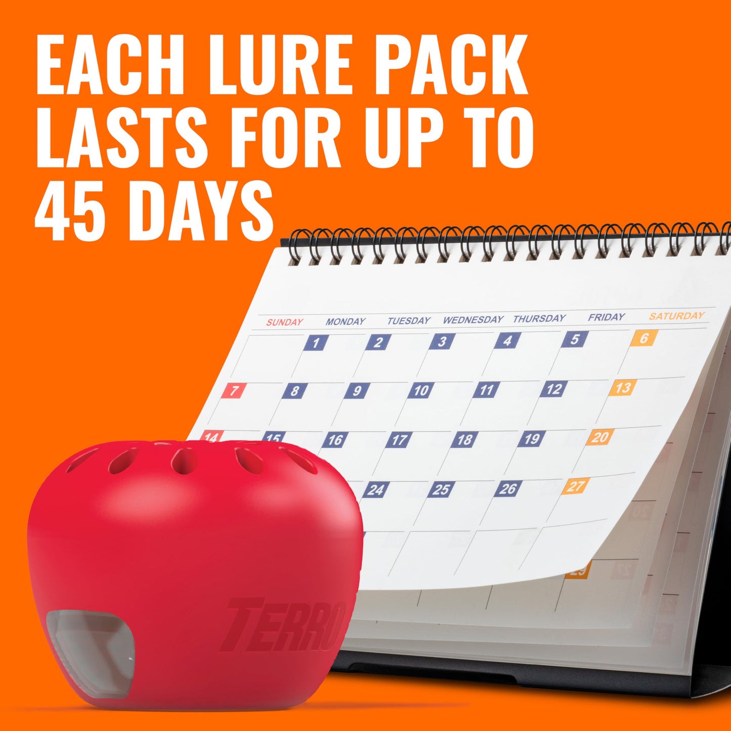 TERRO Fruit Fly Traps for Indoors (4 Pack) + 180 Days of Lure Supply