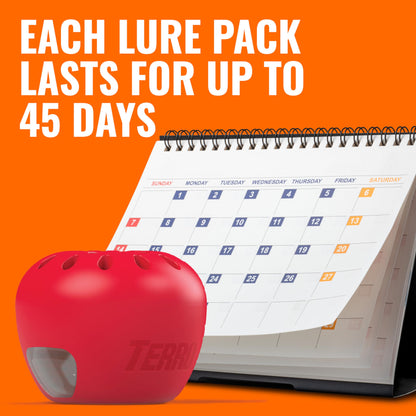 TERRO Fruit Fly Traps for Indoors (4 Pack) + 180 Days of Lure Supply