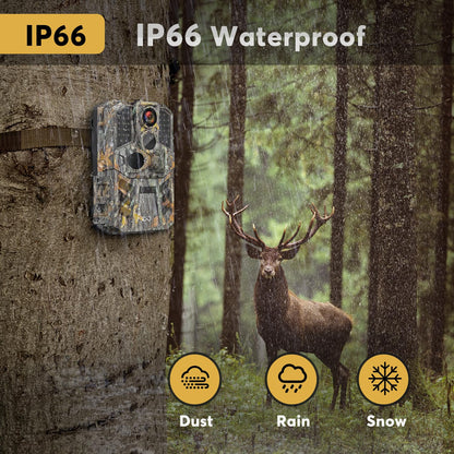 WOSODA Trail Camera 3 Pack 36MP 1920P HD Game Camera with SD Cards, 0.2s Trigger Time Infrared Night Vision Motion Activated Hunting Cam, IP66 Waterproof 2.0''LCD Wildlife Camera for Monitoring