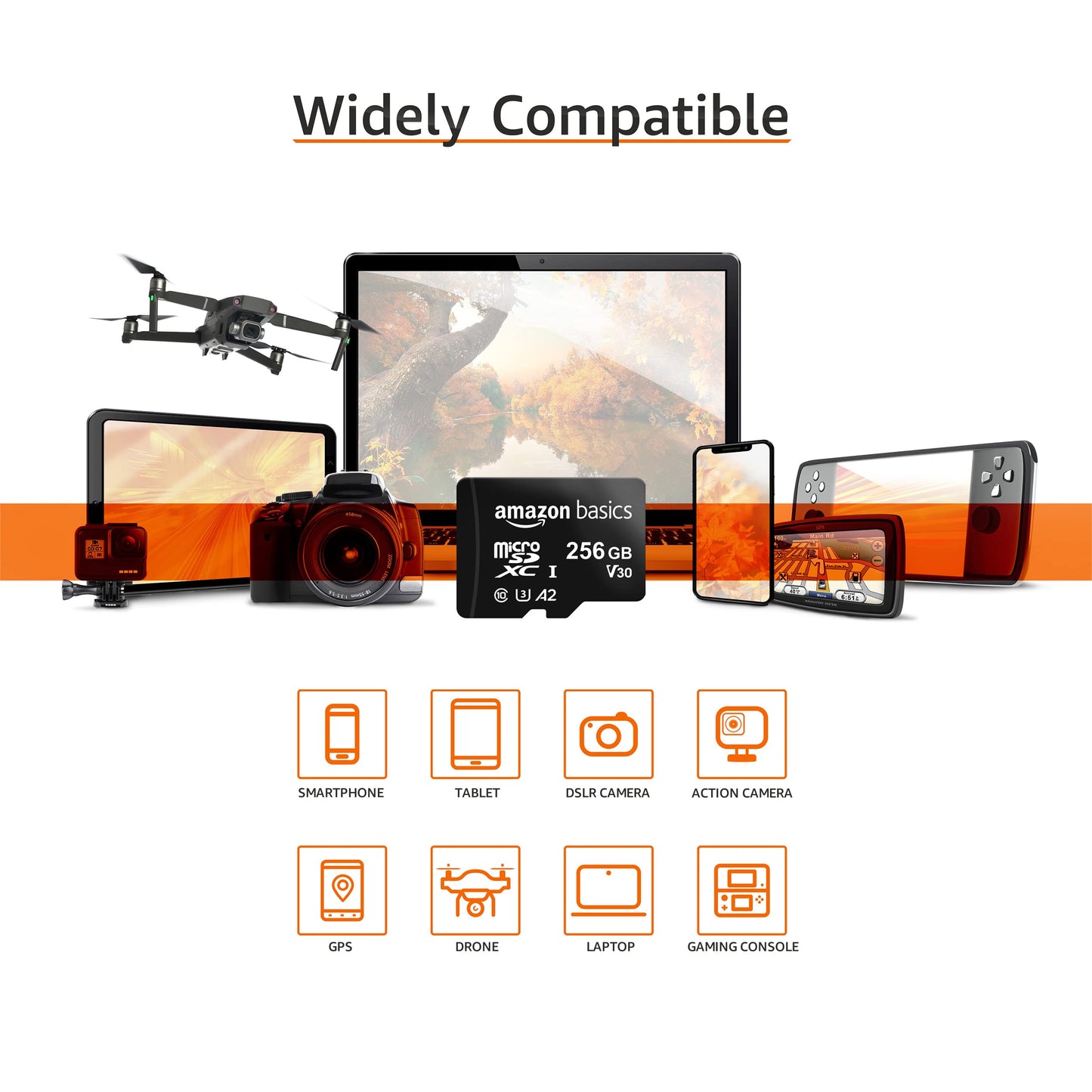 Amazon Basics Micro SDXC Memory Card with Full Size Adapter, A2, U3, Read Speed up to 100 MB/s, 256 GB, Black