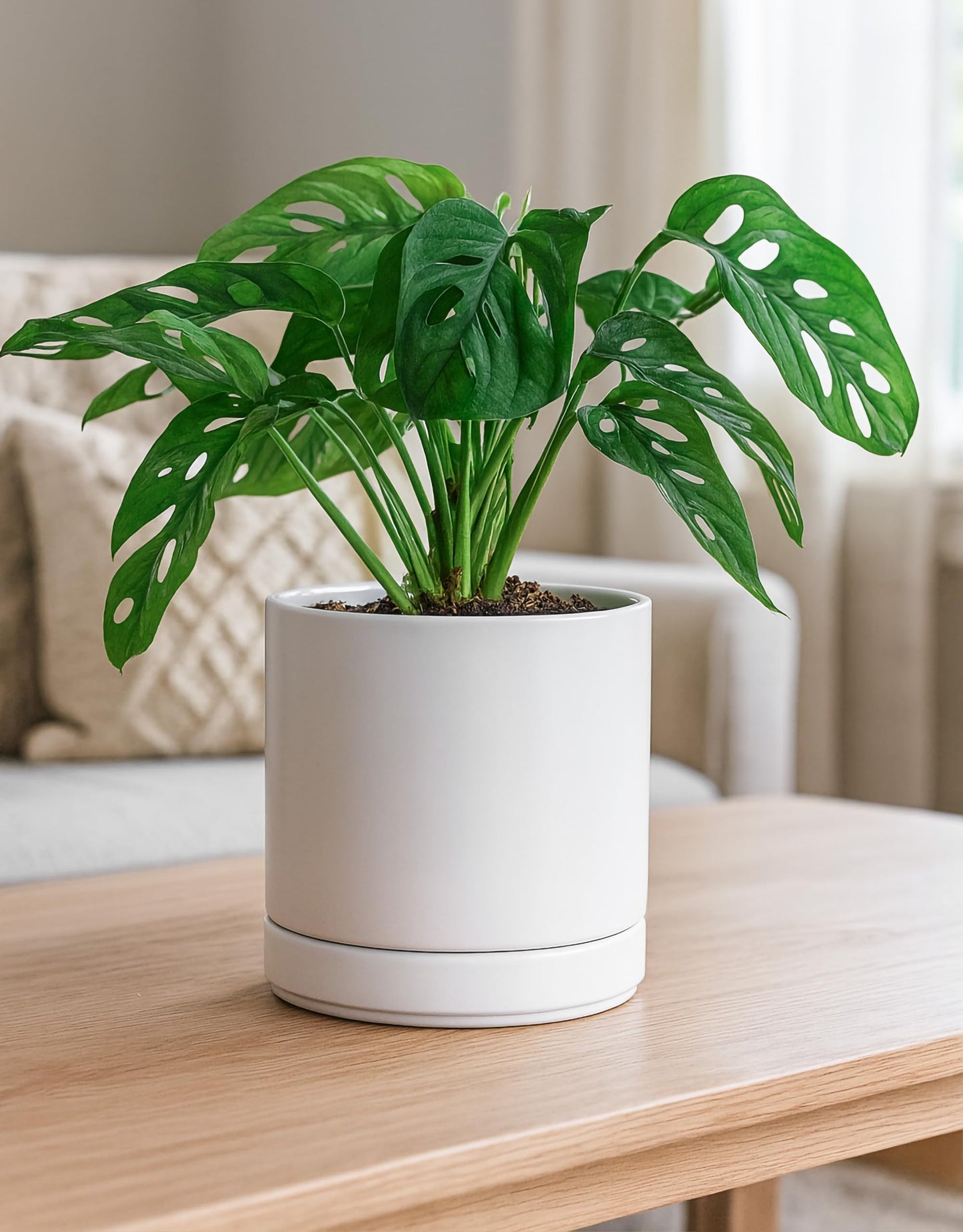 D'vine Dev 6.5 Inch Ceramic Planter Pot with Drainage Hole and Saucer, Indoor Cylinder Round Flower Pot, White, 94-O-C-1