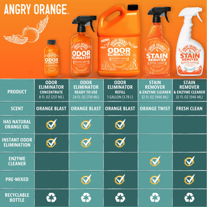 ANGRY ORANGE Pet Odor Eliminator Kit for Dog Urine - Citrus - 24 oz + UV Flashlight