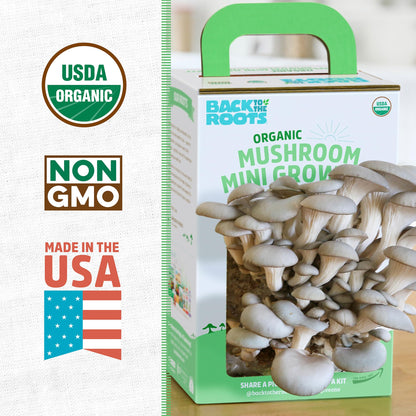 Back to the Roots Organic Mini Mushroom Grow Kit, Harvest Gourmet Oyster Mushrooms In 10 days, Top Gardening Gift, Holiday Gift, & Unique Gift