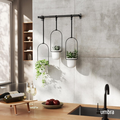 Umbra Triflora Hanging Planter for Window, Indoor Herb Garden, Set of 3, White/Black