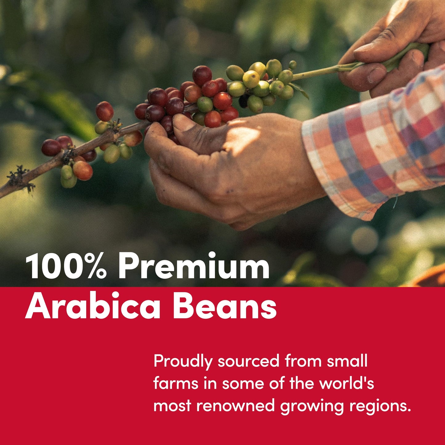 Tim Hortons Original Blend, Medium Roast Ground Coffee, Perfectly Balanced, Always Smooth, Made with 100% Arabica Beans, 12 Ounce Bag