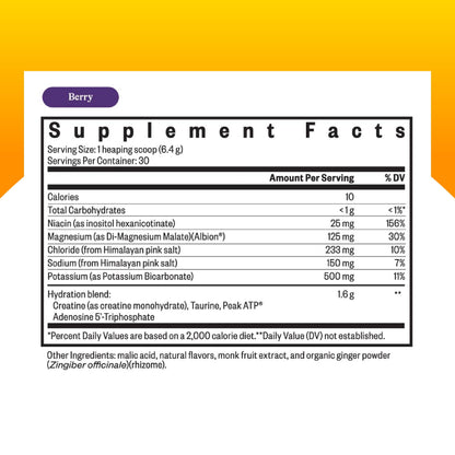 Seeking Health Optimal Electrolyte Powder, Berry Flavor, Healthy Energy and Endurance Support, Promotes Hydration and Healthy Muscles, Vegan and Vegetarian (30 Servings)*