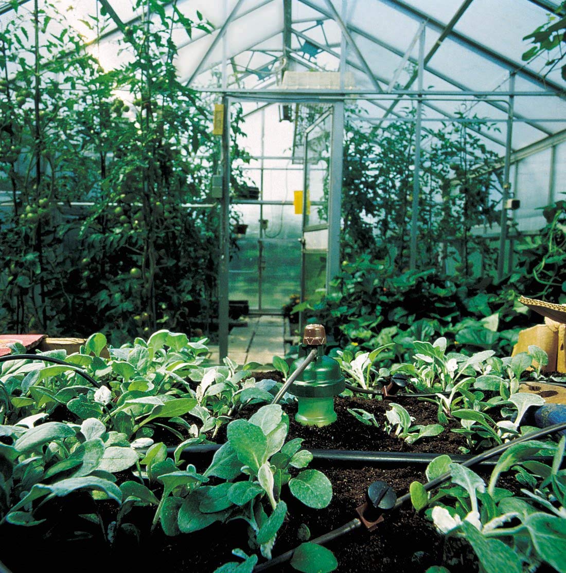 Blumat Drip Irrigation System - Tropf Medium Box Automatic Plant Watering Devices for Garden, Patio and Hanging Baskets - Garden Watering System Up to 12 Plants - Effortless Hydration - 12 Pack