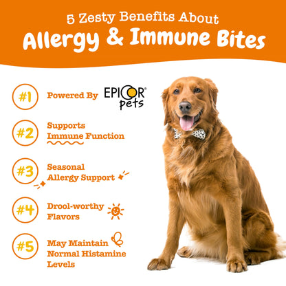 Zesty Paws Dog Allergy Relief- Dog Itching Skin Relief- Dog Probiotics for Itchy Skin and Itchy Ears- Dog Allergy Paw Relief- Dog Allergy Chews- Dog Itch Relief - Dog Skin Allergy Relief - Lamb - 90ct