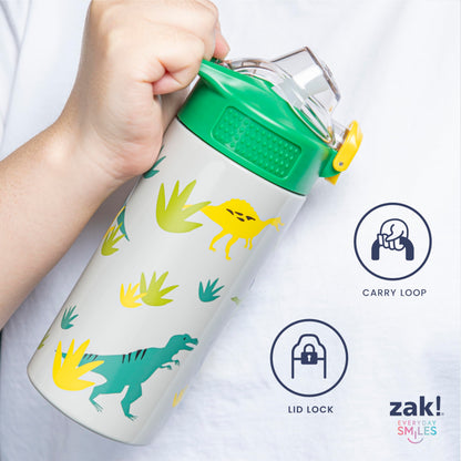 Zak Designs Disney Frozen Sage Kids Water Bottle For School or Travel, 14oz Stainless Steel Water Bottle With Straw, Handle, and Leak-Proof, Pop-Up Spout Cover (Anna & Elsa)